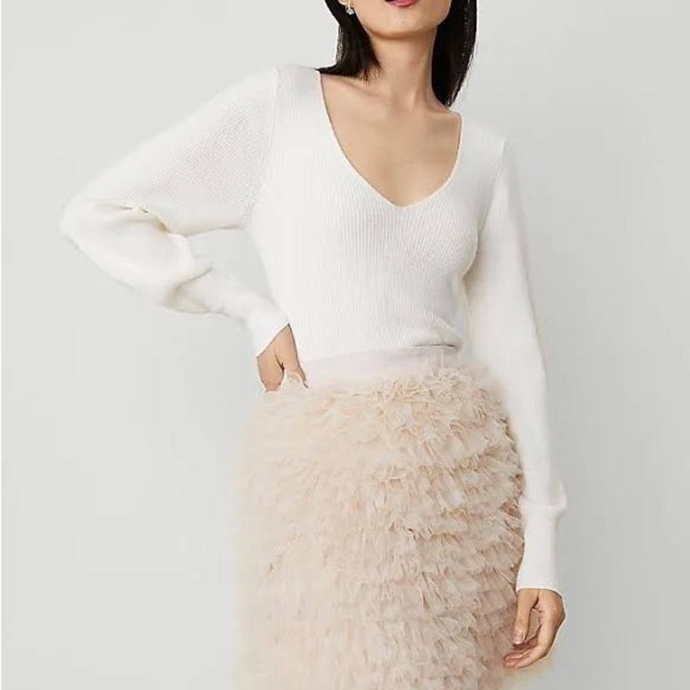 Light Beige Tulle Ann Taylor Skirt